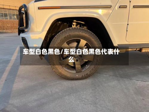 车型白色黑色/车型白色黑色代表什么-第2张图片