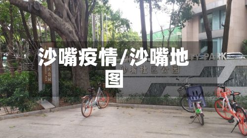 沙嘴疫情/沙嘴地图-第2张图片