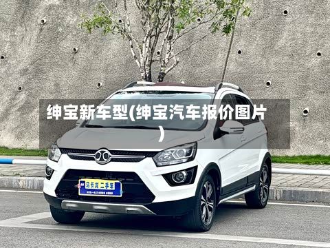 绅宝新车型(绅宝汽车报价图片)-第2张图片