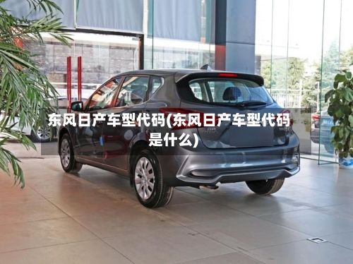 东风日产车型代码(东风日产车型代码是什么)-第2张图片