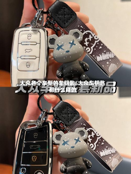 大众各个车型的车钥匙/大众车钥匙都什么样的