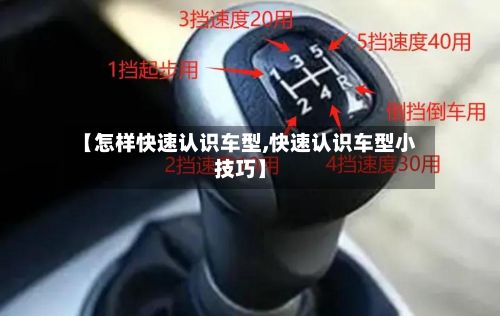 【怎样快速认识车型,快速认识车型小技巧】-第2张图片