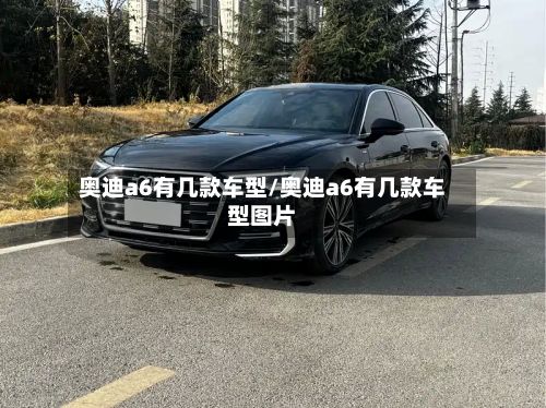 奥迪a6有几款车型/奥迪a6有几款车型图片-第2张图片