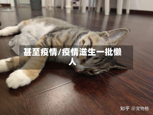 甚至疫情/疫情滋生一批懒人