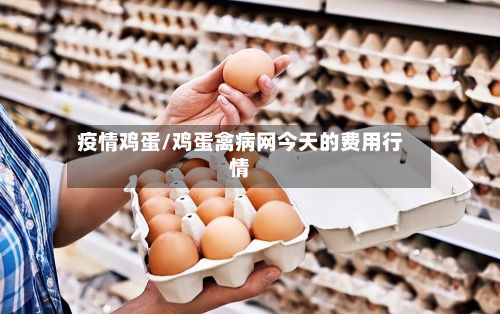 疫情鸡蛋/鸡蛋禽病网今天的费用行情-第2张图片