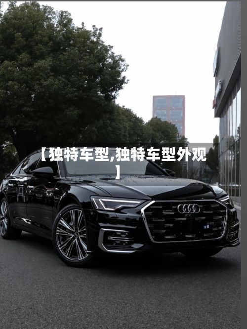 【独特车型,独特车型外观】-第2张图片