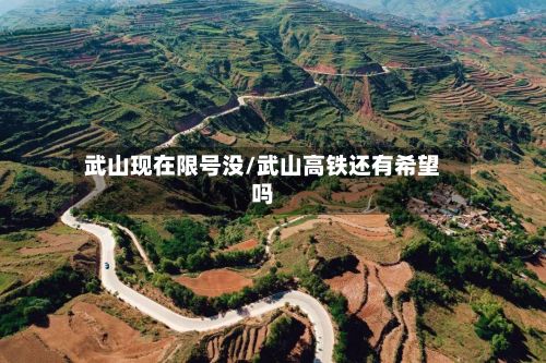 武山现在限号没/武山高铁还有希望吗-第3张图片