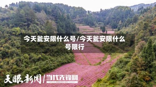 今天瓮安限什么号/今天瓮安限什么号限行
