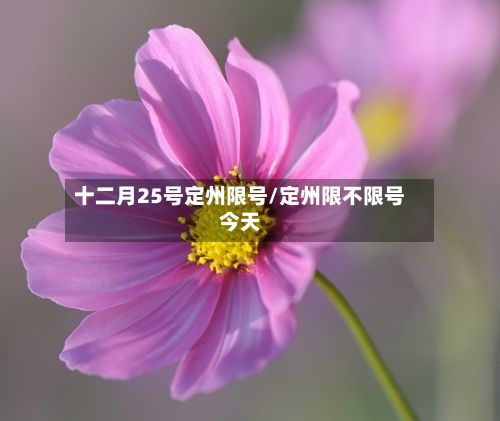 十二月25号定州限号/定州限不限号今天-第2张图片