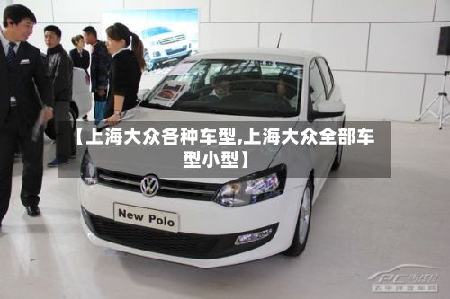 【上海大众各种车型,上海大众全部车型小型】-第2张图片