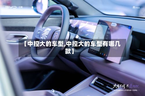 【中控大的车型,中控大的车型有哪几款】-第2张图片
