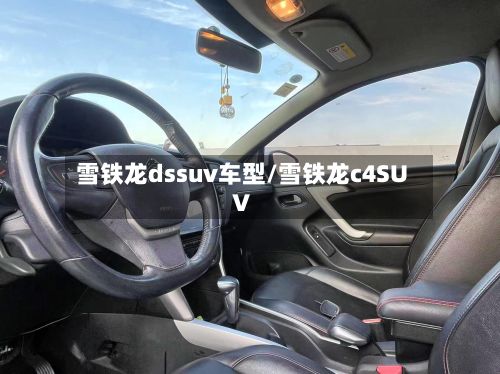 雪铁龙dssuv车型/雪铁龙c4SUV-第2张图片