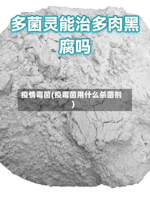 疫情霉菌(疫霉菌用什么杀菌剂)-第3张图片
