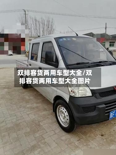 双排客货两用车型大全/双排客货两用车型大全图片-第2张图片