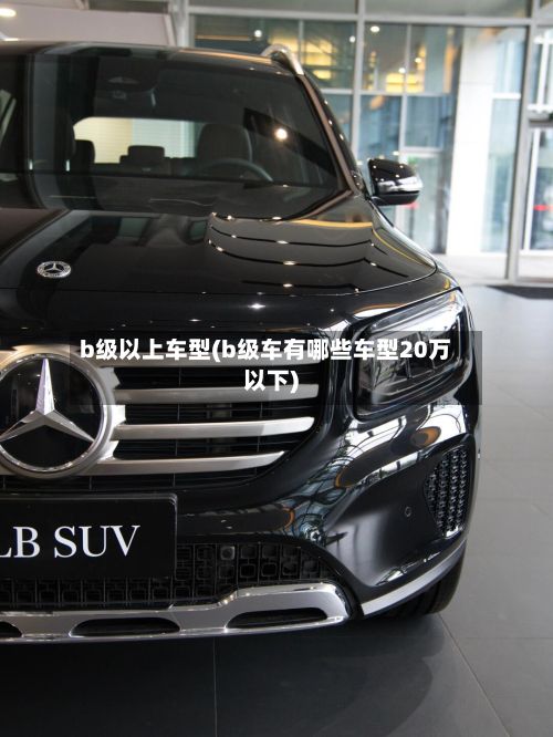b级以上车型(b级车有哪些车型20万以下)-第2张图片