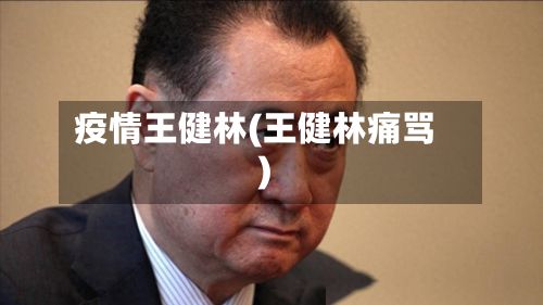 疫情王健林(王健林痛骂)