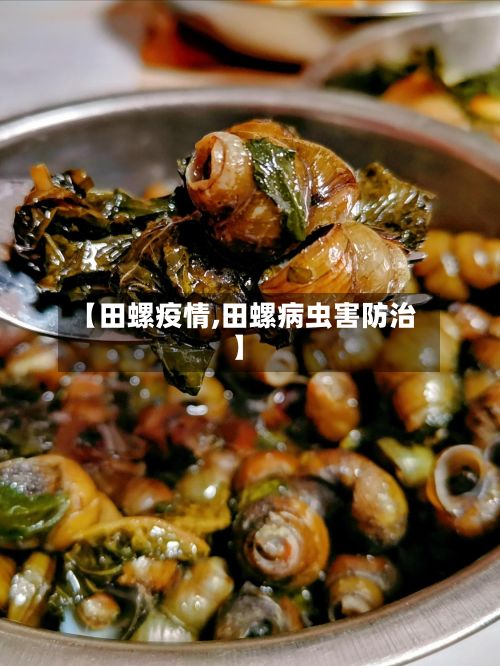 【田螺疫情,田螺病虫害防治】-第2张图片