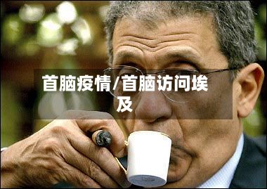 首脑疫情/首脑访问埃及-第2张图片