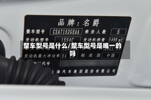 整车型号是什么/整车型号是唯一的吗