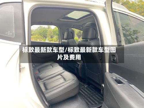 标致最新款车型/标致最新款车型图片及费用-第3张图片