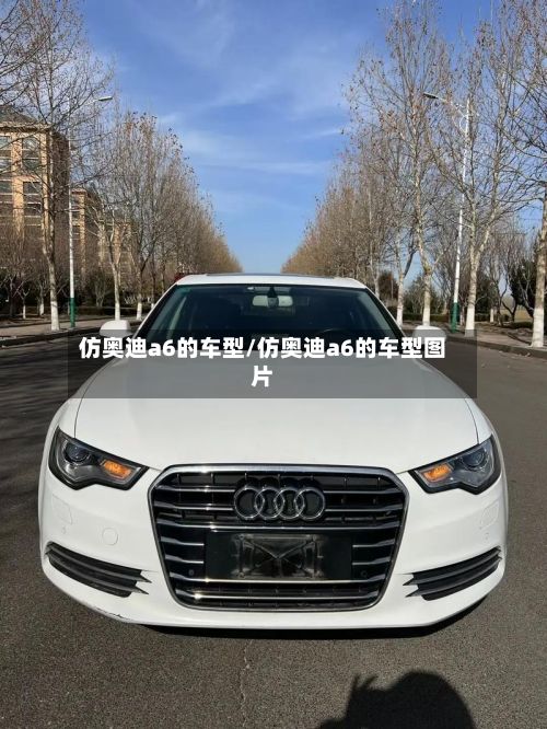 仿奥迪a6的车型/仿奥迪a6的车型图片-第3张图片