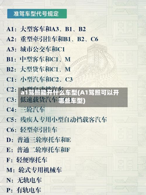 a1驾照能开什么车型(A1驾照可以开哪些车型)