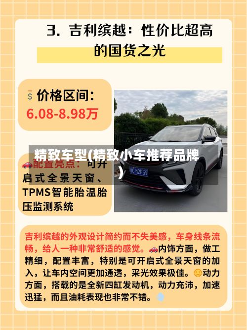 精致车型(精致小车推荐品牌)