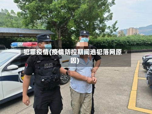 犯罪疫情(疫情防控期间逃犯落网原因)
