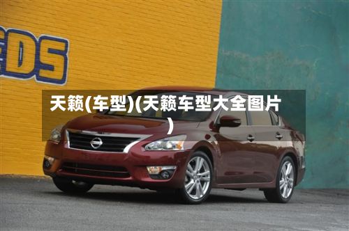 天籁(车型)(天籁车型大全图片)-第2张图片