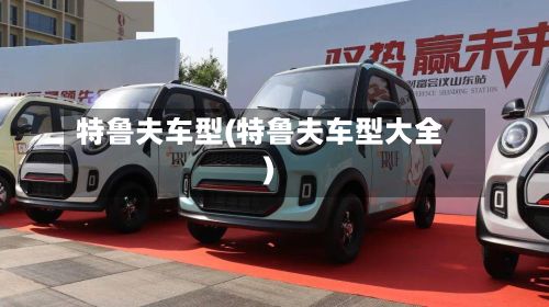 特鲁夫车型(特鲁夫车型大全)