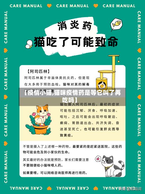 【疫情小猫,猫咪疫情药是等它叫了再吃吗】