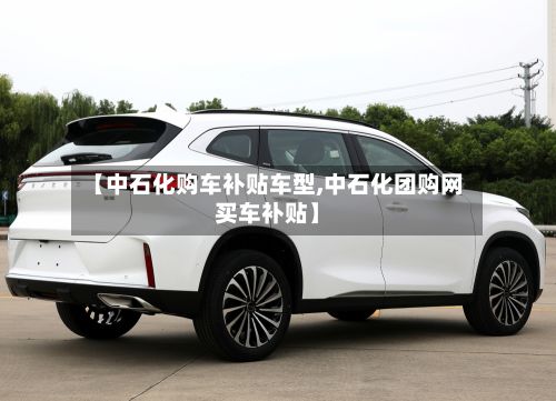 【中石化购车补贴车型,中石化团购网买车补贴】