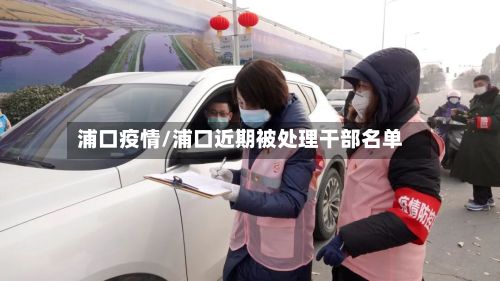 浦口疫情/浦口近期被处理干部名单