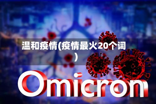 温和疫情(疫情最火20个词)