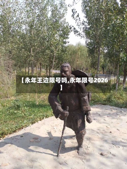 【永年王边限号吗,永年限号2026】-第3张图片