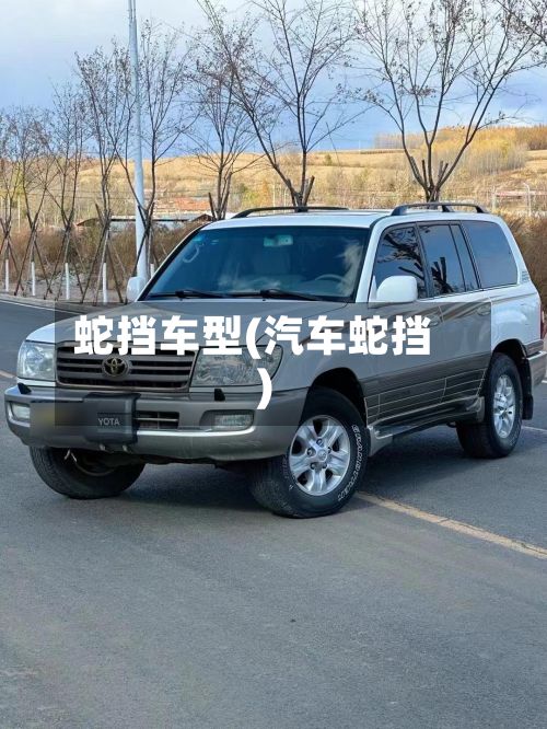 蛇挡车型(汽车蛇挡)-第3张图片