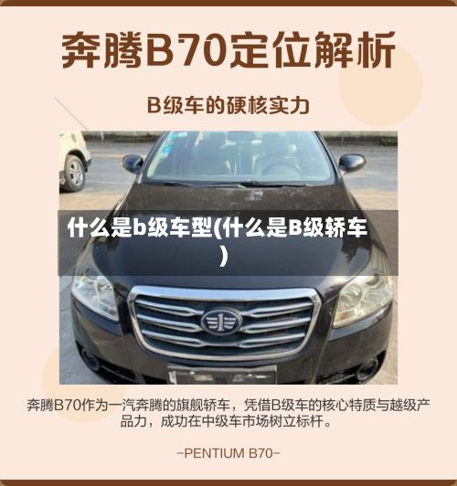 什么是b级车型(什么是B级轿车)-第2张图片