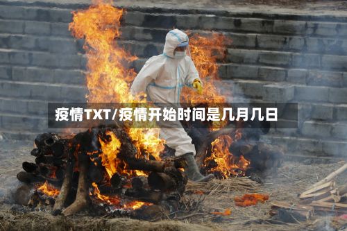 疫情TXT/疫情开始时间是几月几日