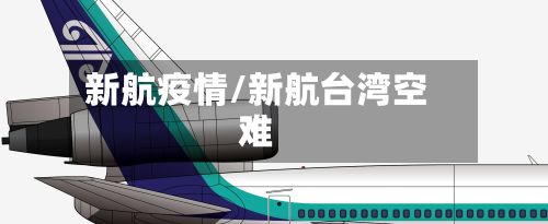 新航疫情/新航台湾空难-第2张图片