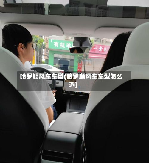 哈罗顺风车车型(哈罗顺风车车型怎么选)-第2张图片