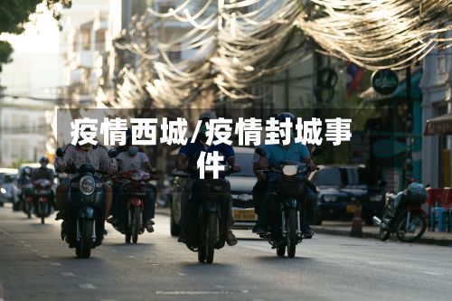 疫情西城/疫情封城事件