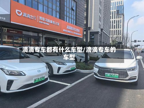 滴滴专车都有什么车型/滴滴专车的车型