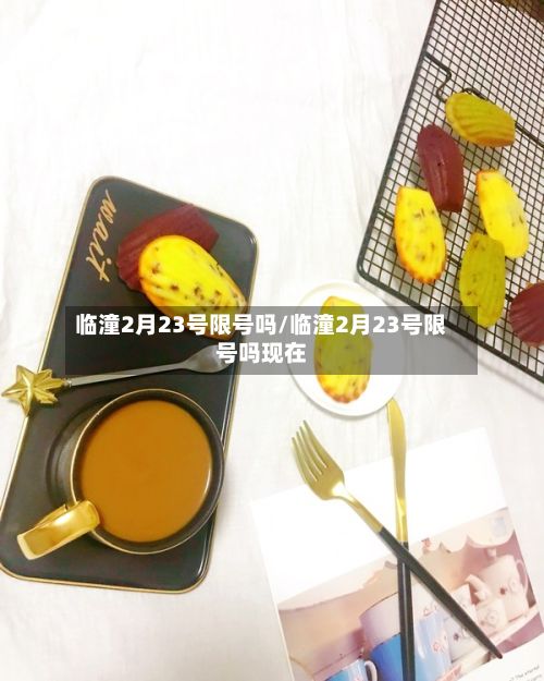 临潼2月23号限号吗/临潼2月23号限号吗现在