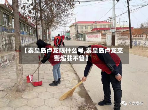 【秦皇岛卢龙限什么号,秦皇岛卢龙交警超载不管】-第3张图片