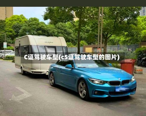 C证驾驶车型(c5证驾驶车型的图片)-第2张图片