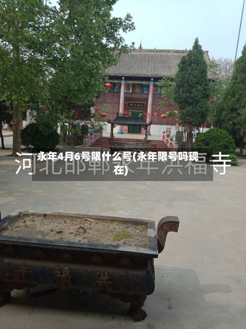 永年4月6号限什么号(永年限号吗现在)-第2张图片