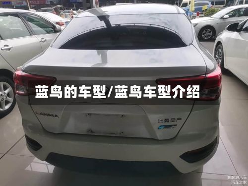 蓝鸟的车型/蓝鸟车型介绍