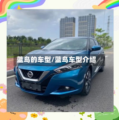 蓝鸟的车型/蓝鸟车型介绍-第2张图片