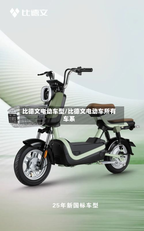 比德文电动车型/比德文电动车所有车系-第2张图片
