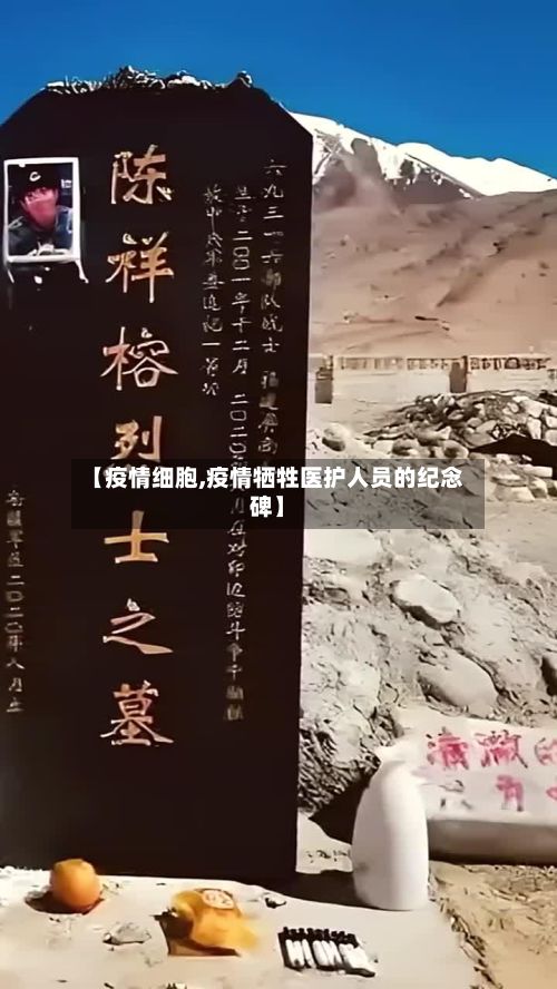 【疫情细胞,疫情牺牲医护人员的纪念碑】